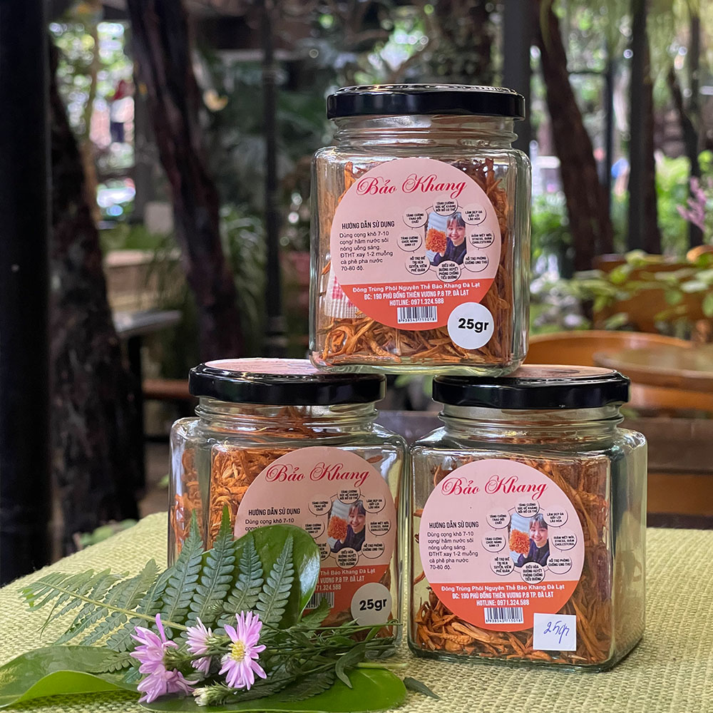 Đông Trùng Hạ Thảo – Giải Pháp Chăm Sóc Sức Khỏe Cho Cả Gia Đình - Ảnh 2